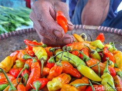 Harga Cabai di Bandung Tembus Rp 90 Ribu/Kg Jelang Ramadan