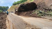 Batu Besar Longsor di Jalur Lumajang-Malang