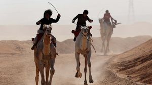 Melihat Festival Balap Unta Ismailia Mesir