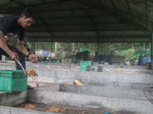 Merdeka Copper Gold Gandeng Warga Lokal Kelola Sampah Domestik Merdeka Copper Gold Gandeng Warga Lokal Kelola Sampah Domestik