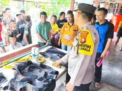Nelayan di Banggai Tewas Terjepit Terumbu Karang Saat Memanah Ikan di Laut