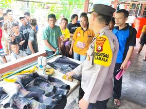 Nelayan di Banggai Tewas Terjepit Terumbu Karang Saat Memanah Ikan di Laut Nelayan di Banggai Tewas Terjepit Terumbu Karang Saat Memanah Ikan di Laut