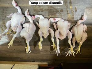 Waspada! Ini Cara Bedakan Ayam Gelonggongan yang Dijual Pedagang Nakal di Pasar