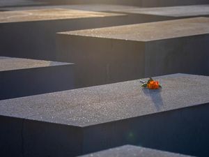 Penyintas Holokaus Tertua Meninggal di Usia 113 Tahun