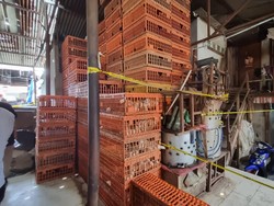 Penjual Ayam Gelonggongan di Kebayoran Lama Terancam 5 Tahun Penjara