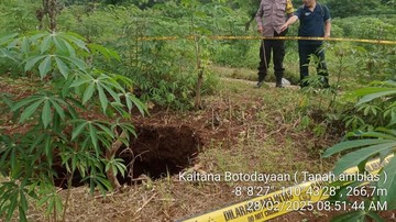 Geger Sinkhole Sedalam 10 Meter Muncul di Lahan Pertanian Gunungkidul