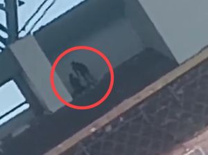 Sejoli Diduga Mesum di Stadion La Patau Matanna Tikka Bone, Polisi Selidiki Sejoli Diduga Mesum di Stadion La Patau Matanna Tikka Bone, Polisi Selidiki