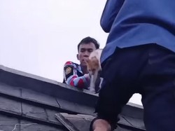 Drama Penyelamatan Kucing yang Terjebak Selama 5 Hari di Plafon