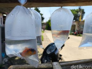 Dari Es Kemong ke Ikan Hias, Cara Adi Bertahan di Bulan Ramadan