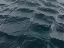 Gelombang Laut Kotak-Kotak: Misteri Alam atau Fenomena Fisika?