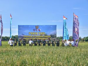 Panen Padi di Halim Farm, Wakasau: Kontribusi TNI AU Dukung Ketahanan Pangan Panen Padi di Halim Farm, Wakasau: Kontribusi TNI AU Dukung Ketahanan Pangan