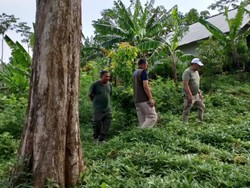 Pengungsi Tanah Gerak Purwodadi Kehilangan Tabung LPG dan Ternak