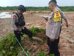 Operator Alat Berat di Banyuasin Temukan Benda Diduga Mortir