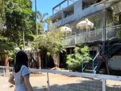 Video Sensasi Makan di Warung Sambil Lihat Aneka Satwa dari Dekat