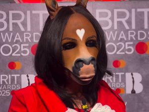 Viral Wanita Berwajah Kuda Hadir di Brit Awards, Terungkap Sosok Aslinya Viral Wanita Berwajah Kuda Hadir di Brit Awards, Terungkap Sosok Aslinya