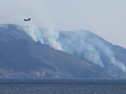 Jepang Hadapi Kebakaran Hutan Terbesar dalam 3 Dekade, Ribuan Warga Dievakuasi