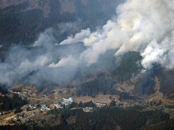 Kebakaran Hutan Melanda Jepang, 2.000 Pemadam Kebakaran Turun Tangan