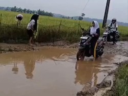 Sedih! Bu Guru di Pandeglang Terjatuh karena Jalan Rusak Bak Kubangan