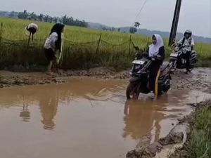 Video: Viral Guru di Pandeglang Histeris Seusai Jatuh gegara Jalan Rusak Bak Kubangan Video: Viral Guru di Pandeglang Histeris Seusai Jatuh gegara Jalan Rusak Bak Kubangan