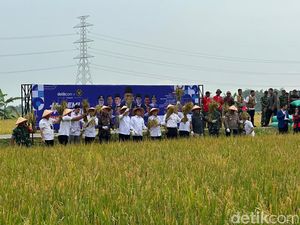 Pemred detikcom Tegaskan #DemiIndonesia Mandiri Pangan Dukung Swasembada