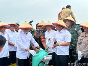 Wanti-wanti Zulhas untuk Pengusaha yang Beli Gabah di Bawah Rp 6.500