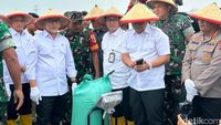 Penegasan Menko Zulhas Harga Gabah Petani Dibeli Minimal Rp 6.500