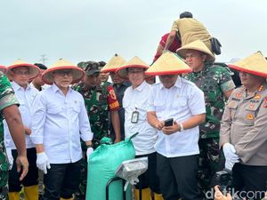Penegasan Menko Zulhas Harga Gabah Petani Dibeli Minimal Rp 6.500
