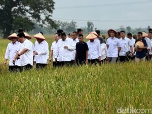 Momen Menko Zulhas Ikuti Tradisi Methil di #DemiIndonesia Mandiri Pangan Momen Menko Zulhas Ikuti Tradisi Methil di #DemiIndonesia Mandiri Pangan