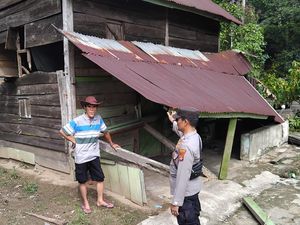 30 Gubuk Warga di Kawasan Hutan Lindung Dirusak Kawanan Gajah 30 Gubuk Warga di Kawasan Hutan Lindung Dirusak Kawanan Gajah