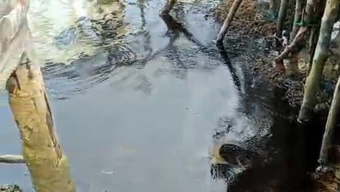 Tangkapan layar limbah minyak berwarna hitam mencemari Pantai Desa Malang Rapat, Bintan, Kepri.