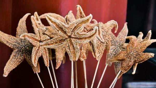 Ngeri Sedap! 10 Makanan Ekstrem Asia yang Populer di Dunia