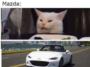 Meme Random buat Nemenin Ngabuburit, Lumayan Absurd