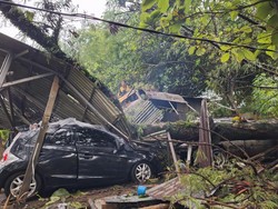Pohon Tumbang Timpa Mobil-Rumah di Bogor Imbas Hujan Deras-Angin Kencang