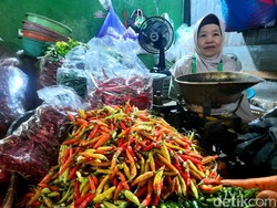 Wamentan Sebut Harga Cabai Turun Tiga Hari Lagi