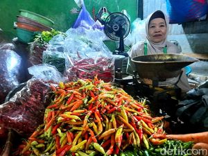 Wamentan Sebut Harga Cabai Turun Tiga Hari Lagi Wamentan Sebut Harga Cabai Turun Tiga Hari Lagi