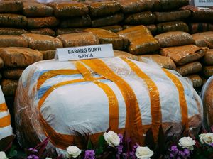 Kemensos Dukung Rehabilitasi Sosial bagi Korban Penyalahgunaan Narkotika