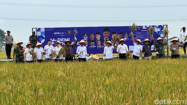 Potret Menko Zulhas Panen Raya #DemiIndonesia Mandiri Pangan