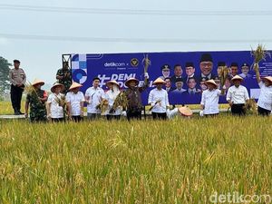 Potret Menko Zulhas Panen Raya #DemiIndonesia Mandiri Pangan