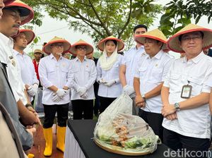 Zulhas Tegaskan Tahun Ini Pemerintah Tak Akan Impor Beras