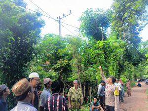 Pria Sumenep Teriak Takbir Sebelum Tewas Tersetrum di Atas Pohon Pria Sumenep Teriak Takbir Sebelum Tewas Tersetrum di Atas Pohon