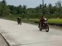 Detik-detik Remaja Balap Liar di Luwu Utara Tabrak Pemotor Mau Cari Takjil