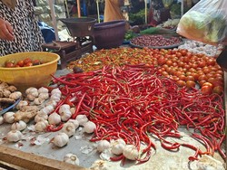 Harga Cabai di Mataram Naik Gila-gilaan Tembus Rp 210 Ribu per Kg