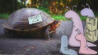 Kreatif! Ketika Fotografi Dipadukan dengan Animasi