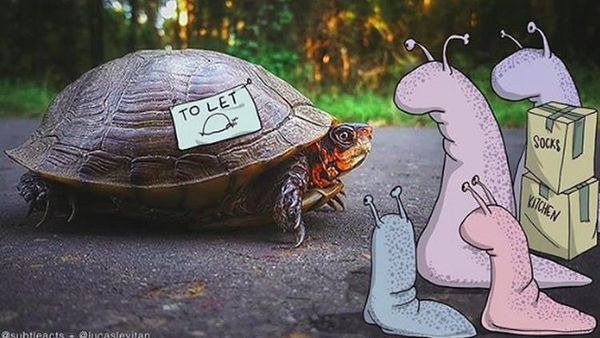 Kreatif! Ketika Fotografi Dipadukan dengan Animasi