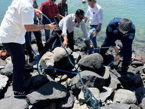 Penjelasan BTID soal Pembongkaran Pagar Laut di Pulau Serangan Penjelasan BTID soal Pembongkaran Pagar Laut di Pulau Serangan