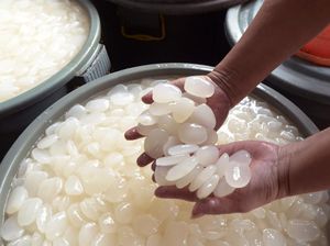 Cara Tepat Konsumsi Kolang-kaling saat Buka Puasa Biar Nutrisinya Nggak Hilang Cara Tepat Konsumsi Kolang-kaling saat Buka Puasa Biar Nutrisinya Nggak Hilang