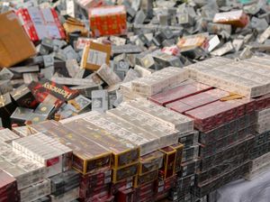 Dalam Dua Bulan 182,74 Juta Batang Rokok Ilegal Dimusnahkan Dalam Dua Bulan 182,74 Juta Batang Rokok Ilegal Dimusnahkan