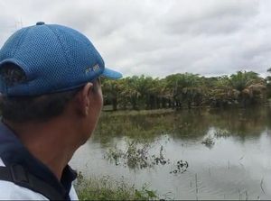 Petani di Musi Rawas Terancam Gagal Panen karena Banjir