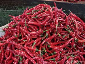 Harga Sembako Jatim Hari Ini: Cabai Keriting, Rawit, Bawang Merah Turun Harga Sembako Jatim Hari Ini: Cabai Keriting, Rawit, Bawang Merah Turun