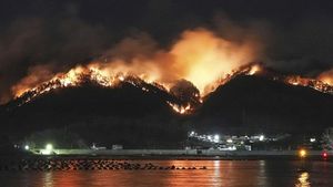 Kebakaran Hutan Terparah di Jepang Terus Meluas